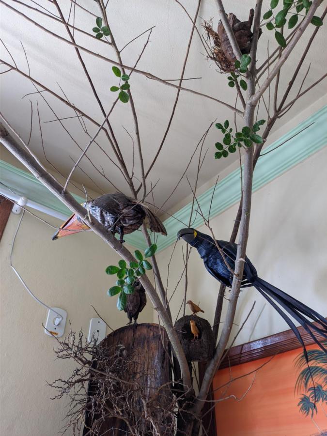 Hotel Pousada Guaypora Guarapari Zewnętrze zdjęcie